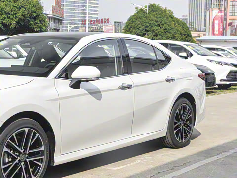 2026�� ˫�� 2.5HG ����