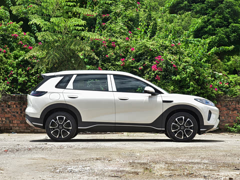 2026�� DM-i 305�Ǻ���