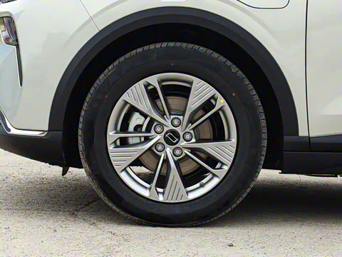 2025�� 565km ������