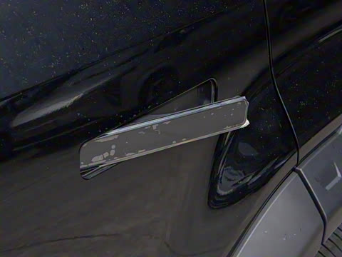 2025�� 520���а�