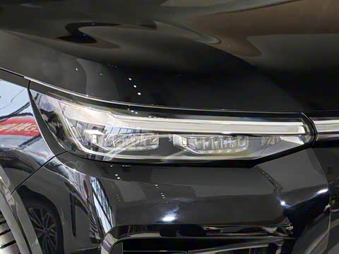 2025�� Ǭ�� Max 5��