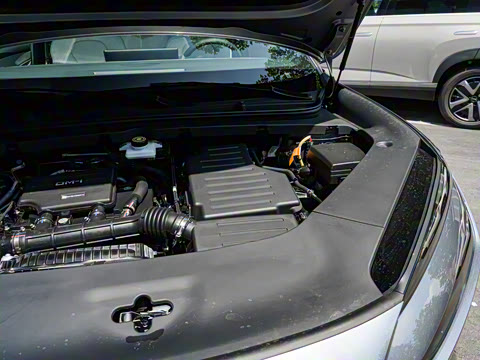 2025�� DM-i 121�캽��