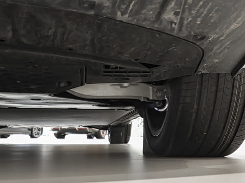 2025�� ������������Pro��