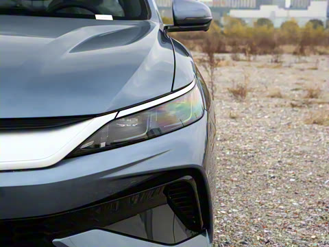 2026�� DM-i 133KM��ȡ��