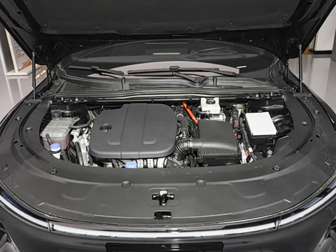 2026�� �����������̰� 310�콢��