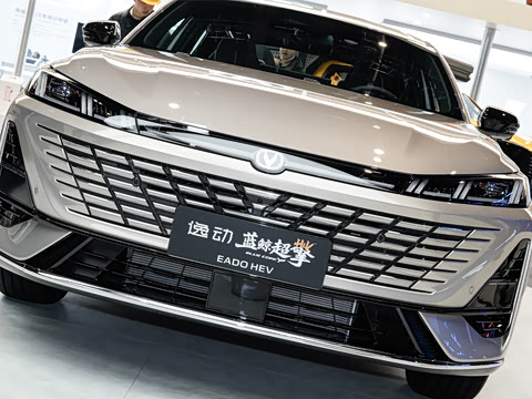 2026�� 1.5L �������� ������