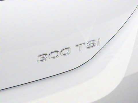 2026�� L 300TSI DSG ʱ����