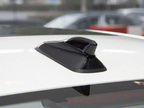 2026�� L 300TSI DSG ʱ����