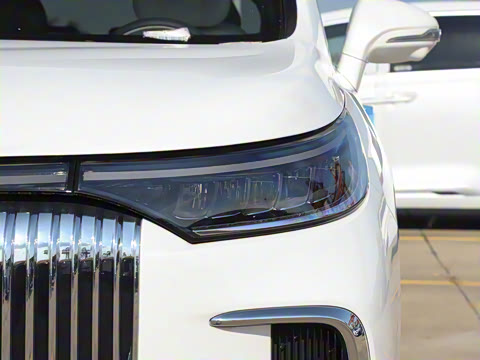 2025�� EV �������������