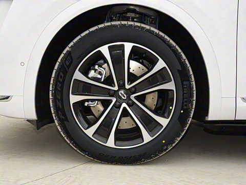 2026�� ���� Max������ 5��