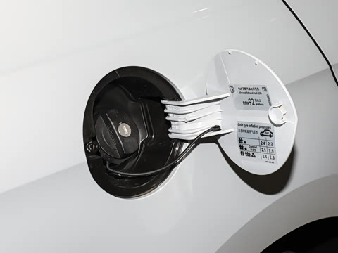 2025�� 1.5L �Զ���ȡ��