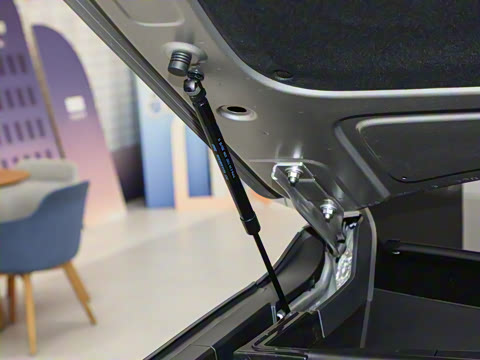 2025�� 100km �����Ǻ���