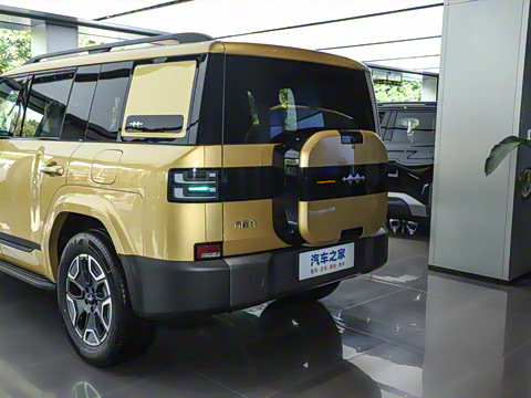 2025�� 135KM����Pro��