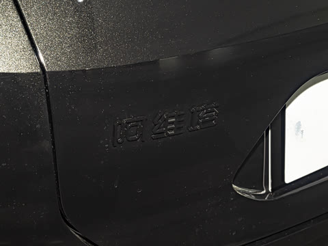 2026�� Max �����