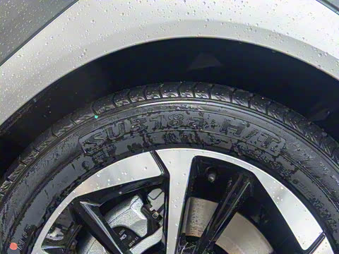 2025�� Plus 610 ������