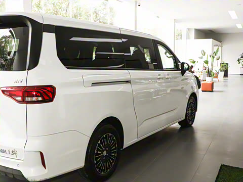 2025�� 2.0L �Զ���������� 7��