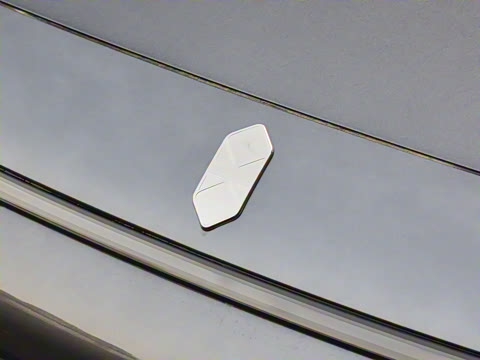 2026�� ���� Max