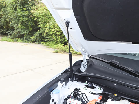 2026�� ȫ��30����ҫ�� 2.0L e:HEV ���������