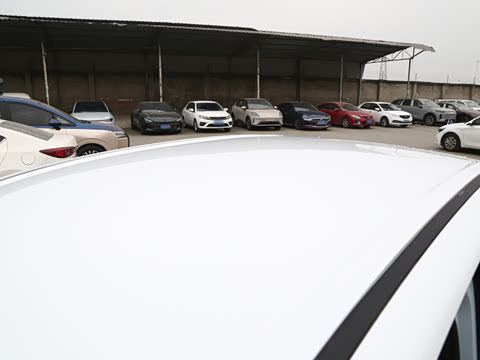 2025�� ���Ű� 301km ����+��