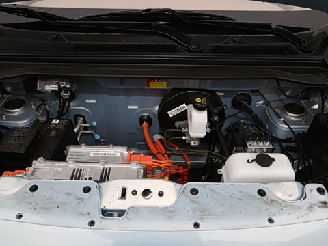 2025�� ���Ű� 301km ����+��