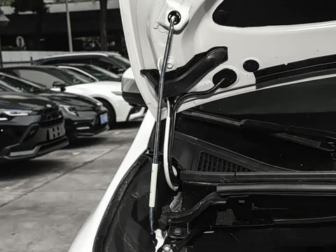 2025�� ˫�� 2.5L �����ƽ��