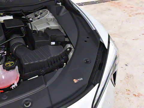 2025�� ������