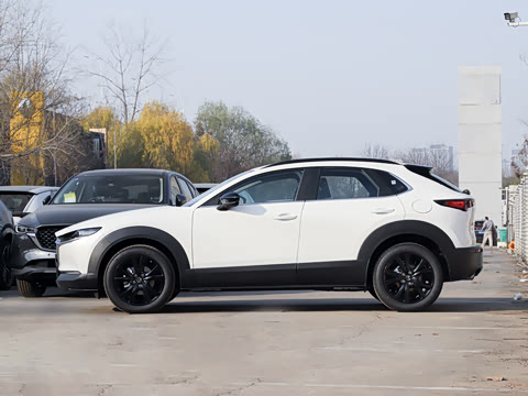 2025�� 2.0L �Զ�������