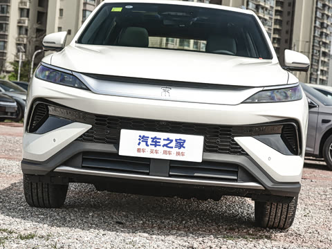 2026�� DM-i 220KM��Խ��