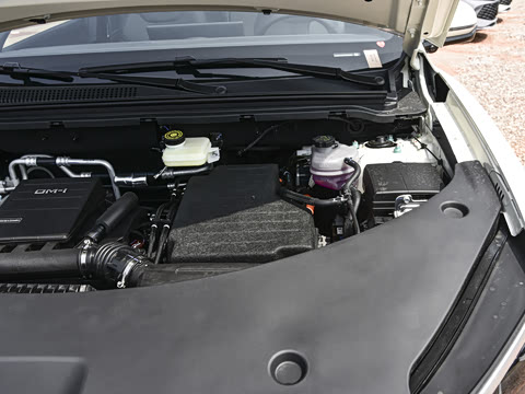 2026�� DM-i 220KM��Խ��