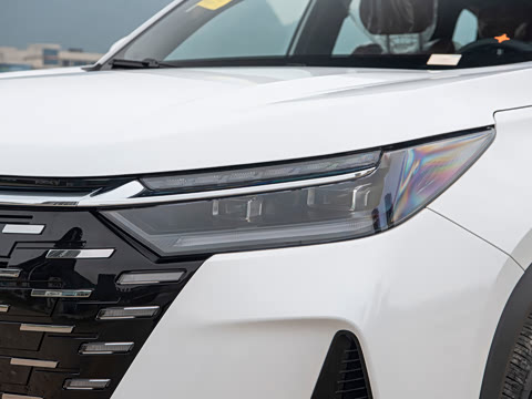 2026�� �ھ��� 290T ���������� 7��