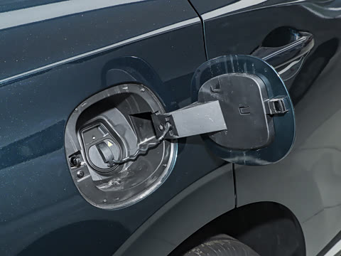 2025�� 530�캽��