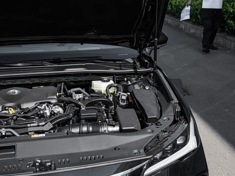 2026�� ˫�� 2.5L XLE����