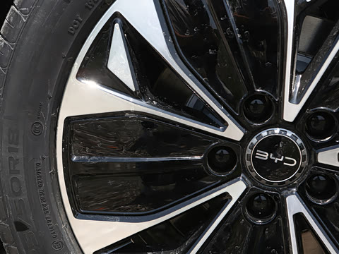 2026�� 705�콢��