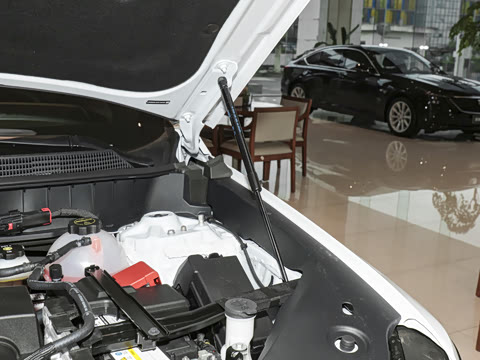 2026�� 2.0T ������