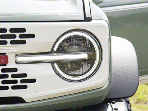 2025�� 2.3T 1966��׼��