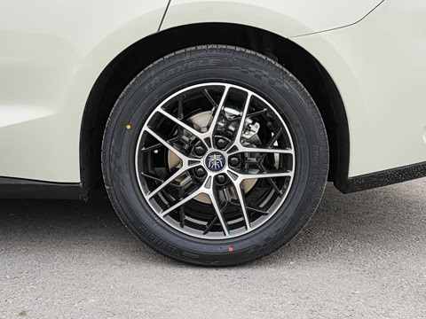 2026�� DM-i 210KM��Խ��