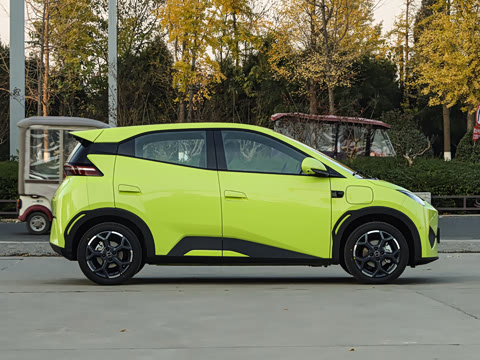 2025�� �Ǽݰ� 305km ���ɰ�