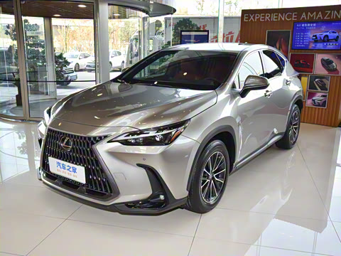 2025�� 400h+ PRIME