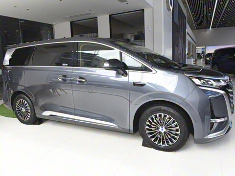 2025�� DM-i ��������