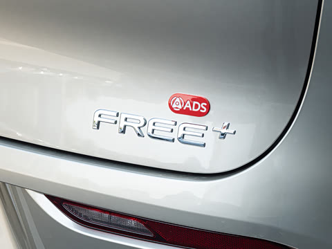 2025�� FREE+ ����Ǭ����