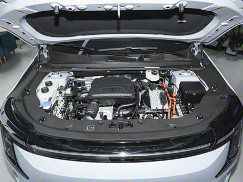 2026�� 121km ������ 5��