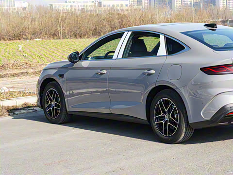 2026�� DM-i 170KM��Խ��