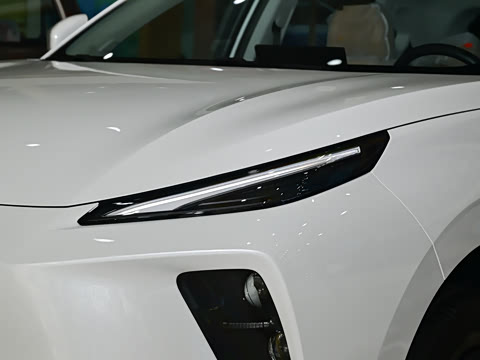 2025�� 530�캽��