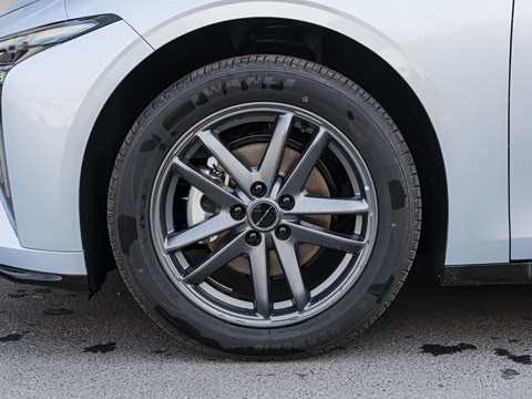 2026�� 565������