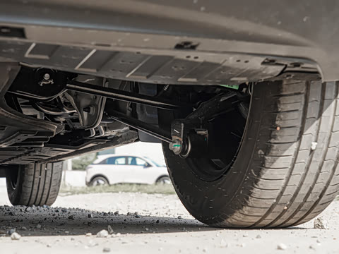 2026�� 310km ������