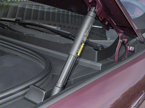 2025�� ���� Max+ ���������� 