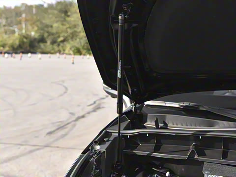 2026�� 380T �������� 7��