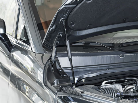 2026�� ���̰� 230����� 7��