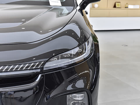 2024�� ������������