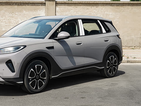 2026�� DM-i 305�캽��